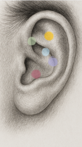 Screenshot 2026-01-25 153355